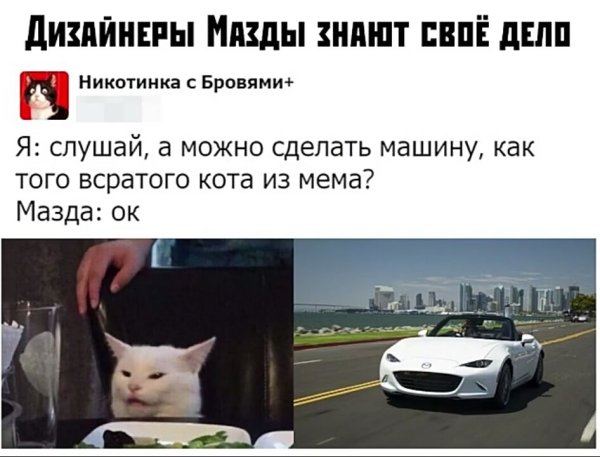 Машина похожая на кота