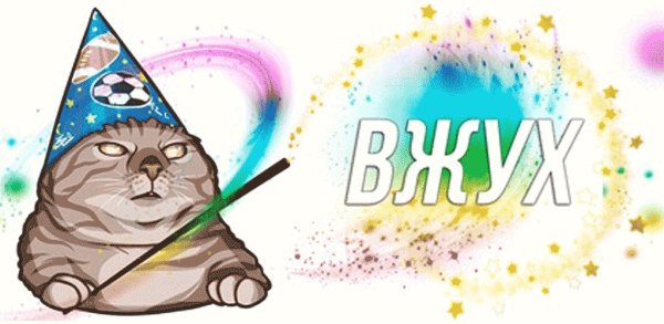 Кот магия вжух