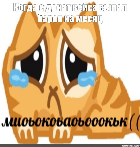 Стикер Плачущий кот