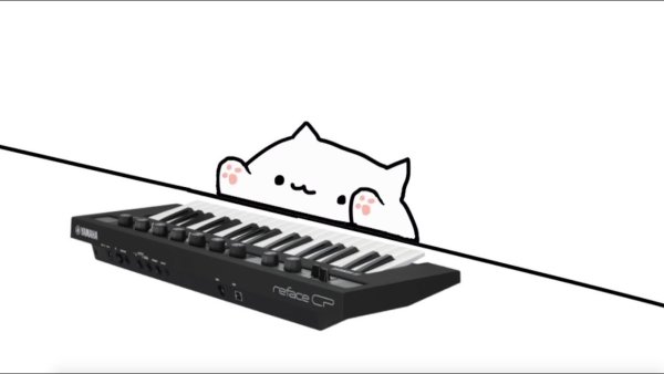 Кот на синтезаторе