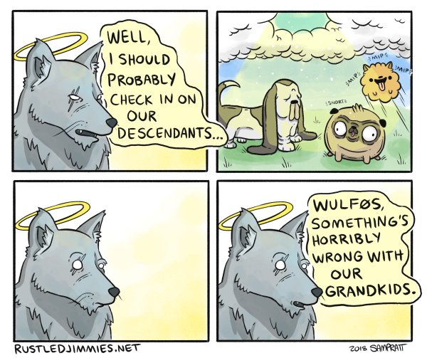 Волки и собаки мемы