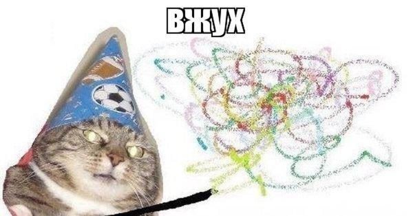 Кот вжух