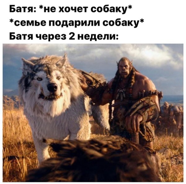 Батя и собака
