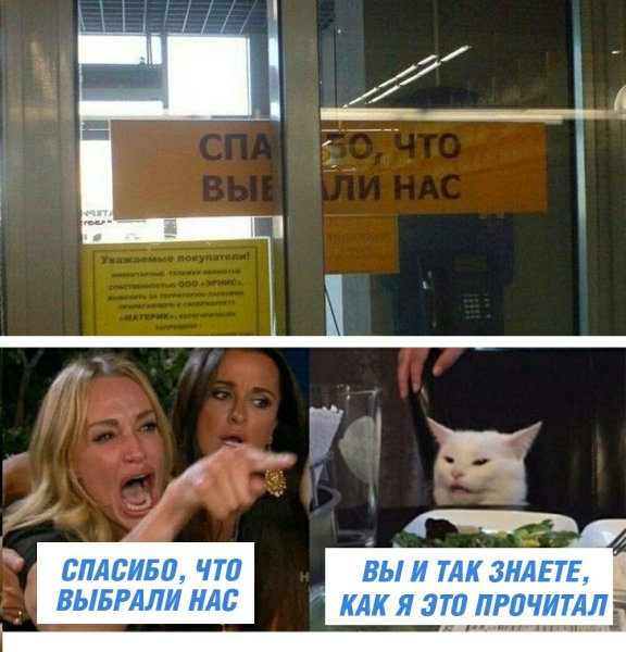 Мем с котом и двумя женщинами