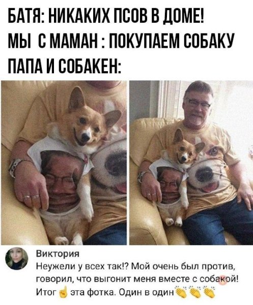 Отец и собака Мем