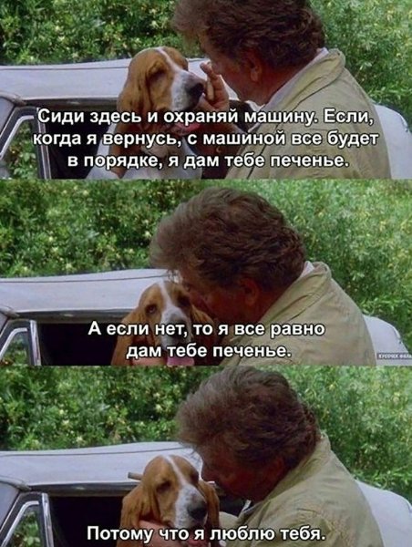 Коломбо и пес Мем