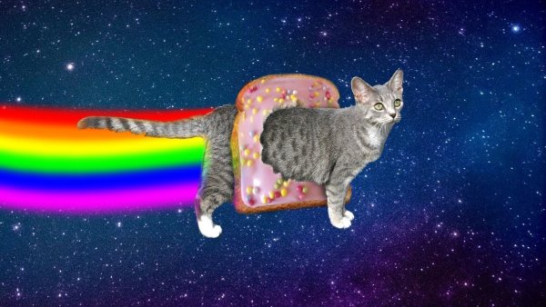 Радужный котик нян Кэт