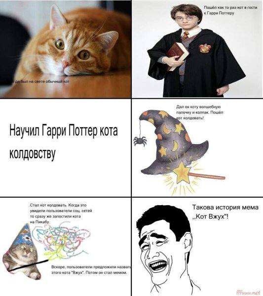 Мемы с котиками