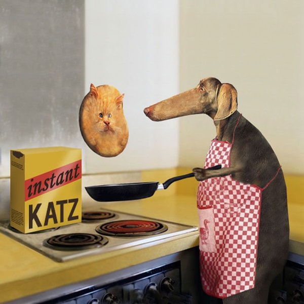 Прикольные блины