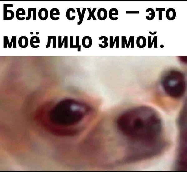 Ты опять хочешь меня довести