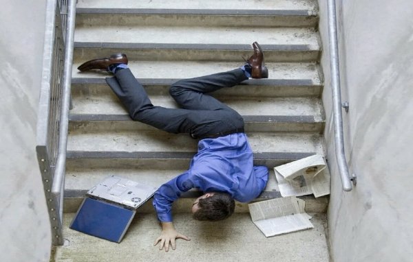 Собака падает с лестницы