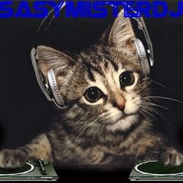 Музыкальные коты