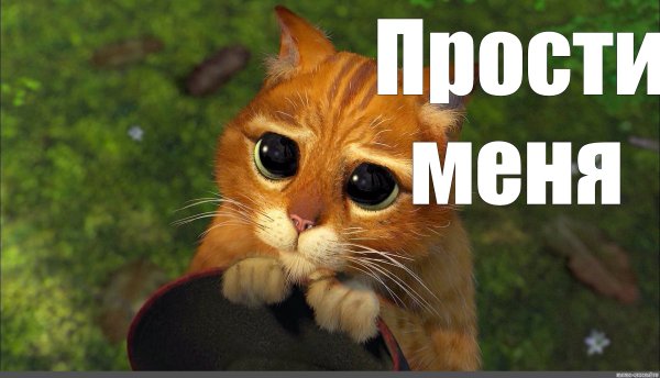 Кот из Шрека фото