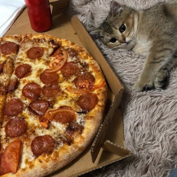 Смешная пицца