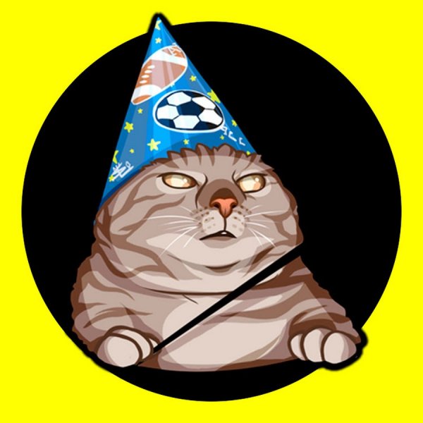 Мемы вжух с котом