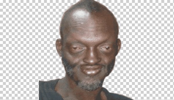 Лысый нигер