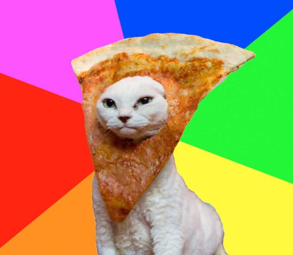 Кот и пицца Мем