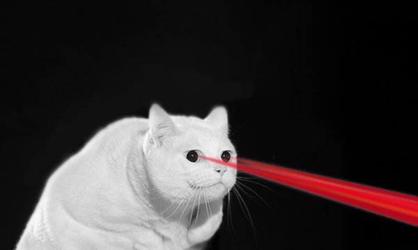 Кот и лазер
