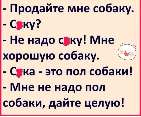 Пол собаки анекдот зачем мне