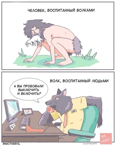 Шутки про Волков