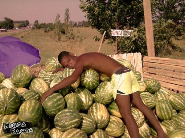 Негр с арбузом на голове