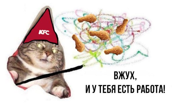 Кот вжух