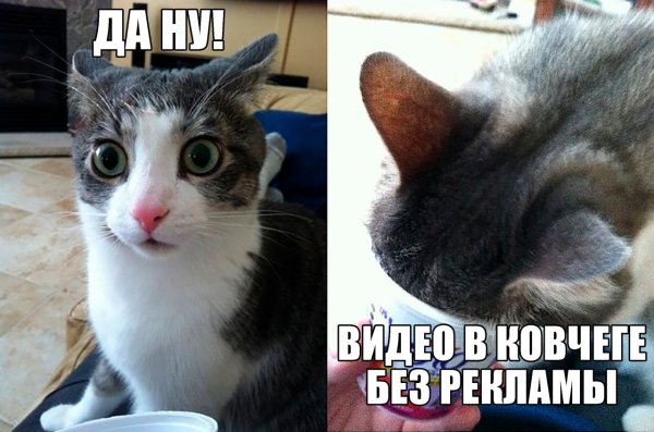 Да не бред какой-то