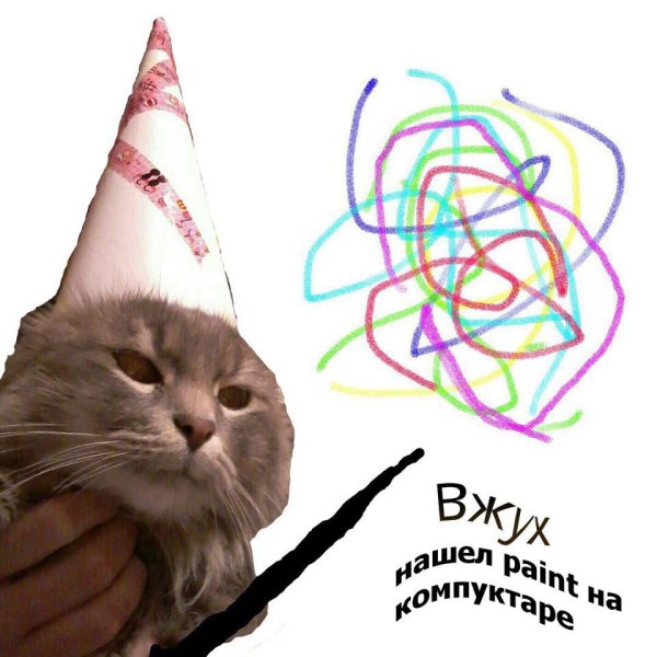 Кот вжух
