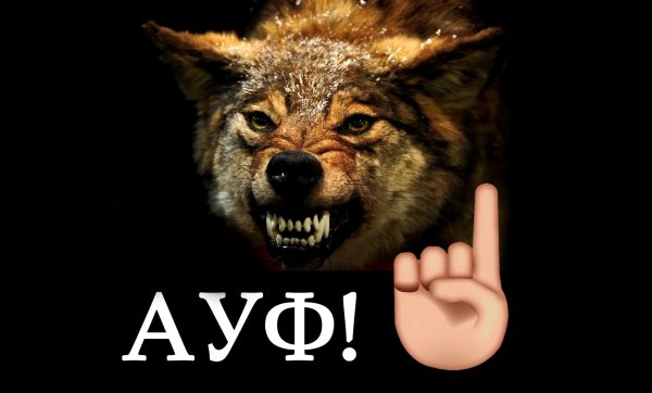Волк Мем