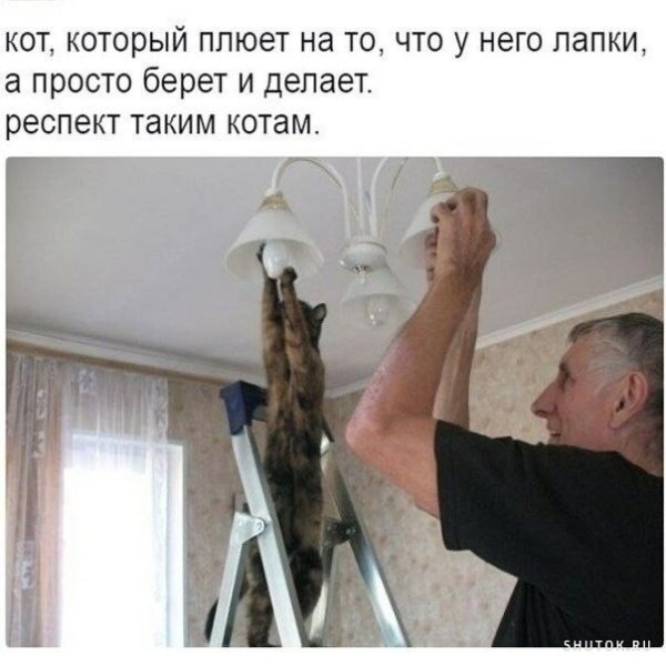 Отец и кот Мем