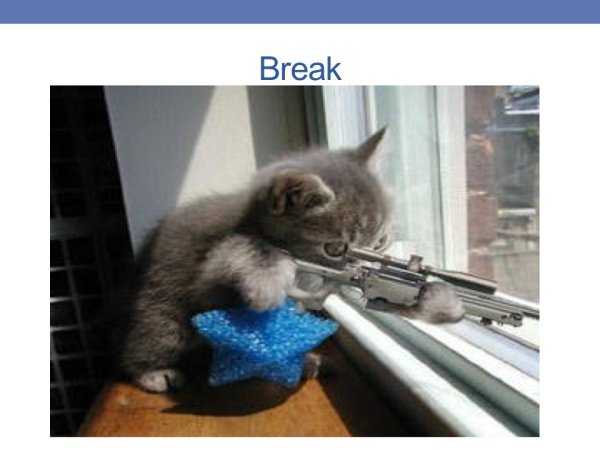 Котенок с пистолетом