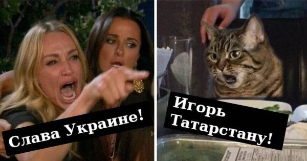 Женщина орет на кота