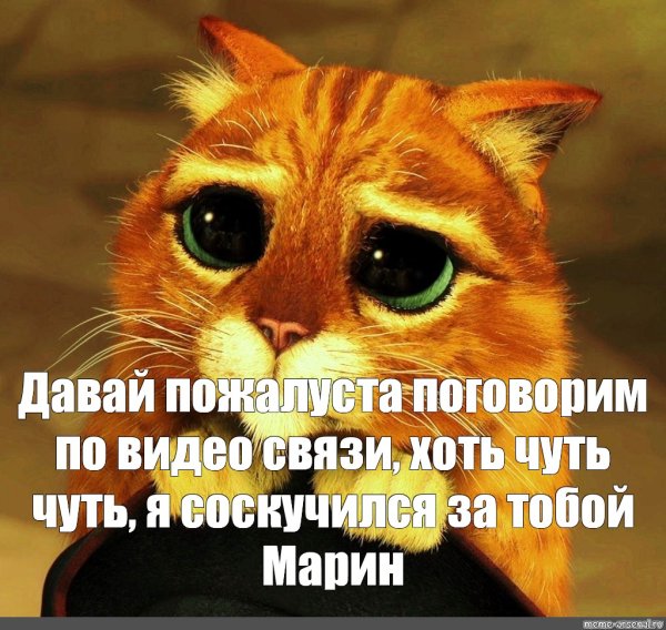 Кот из Шрека прости