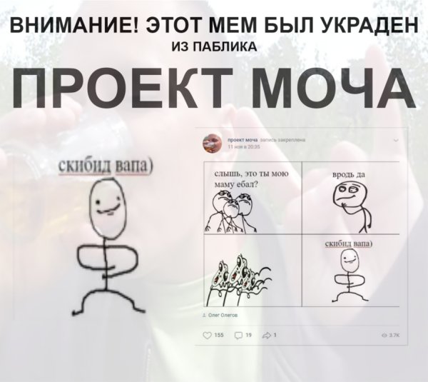 Проект моча