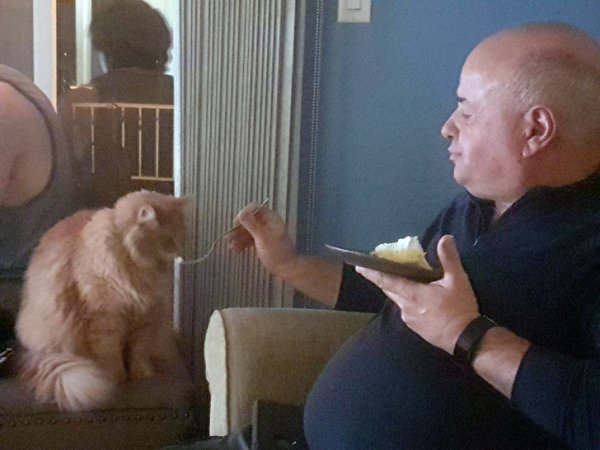 Папа и кот Мем