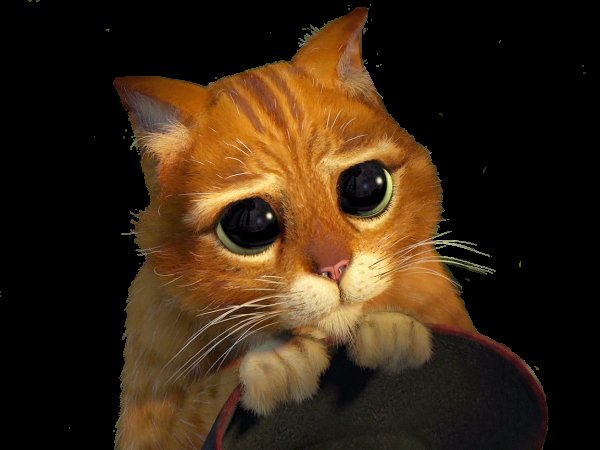 Кот из Шрека глаза