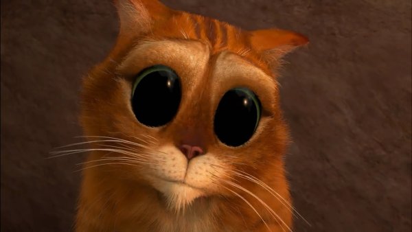 Кот Шрек глаза