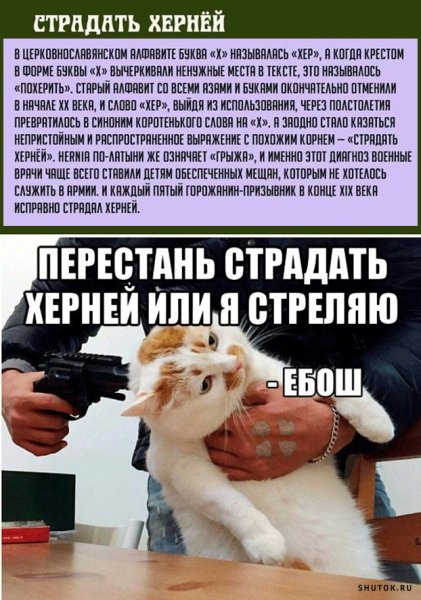 Ебош мемы