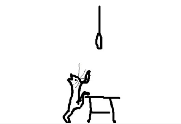 Котенок повесился