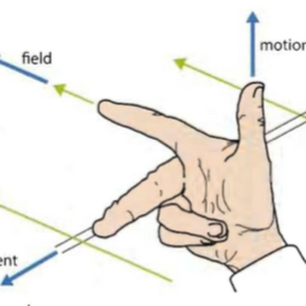 Правило буравчика собака
