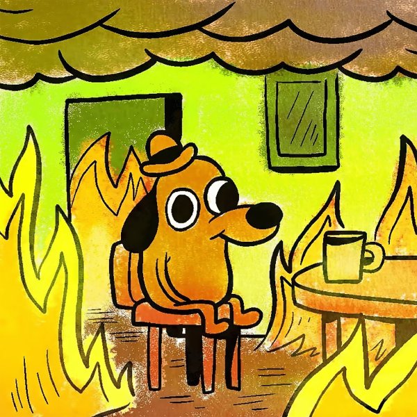 Собака im fine