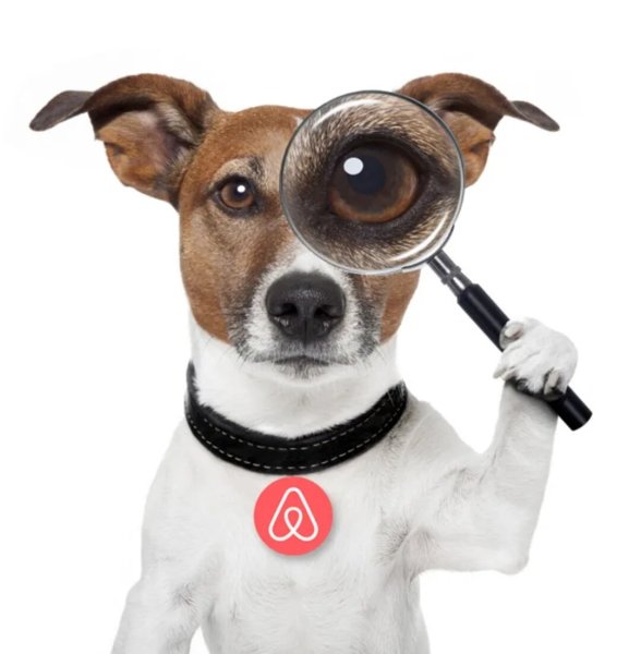 Джек Рассел собака