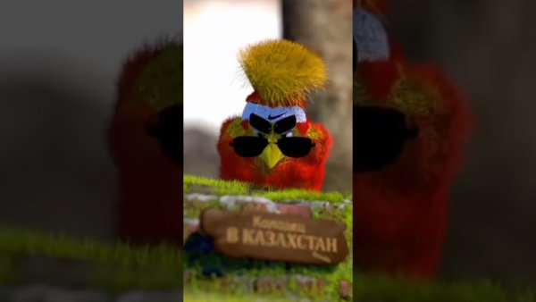 Повторил Мем с мохнатой собакой из тиктока #shorts