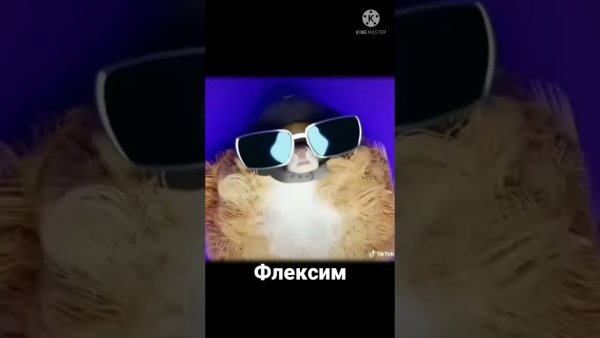 Повтори Мем с лохматой собакой