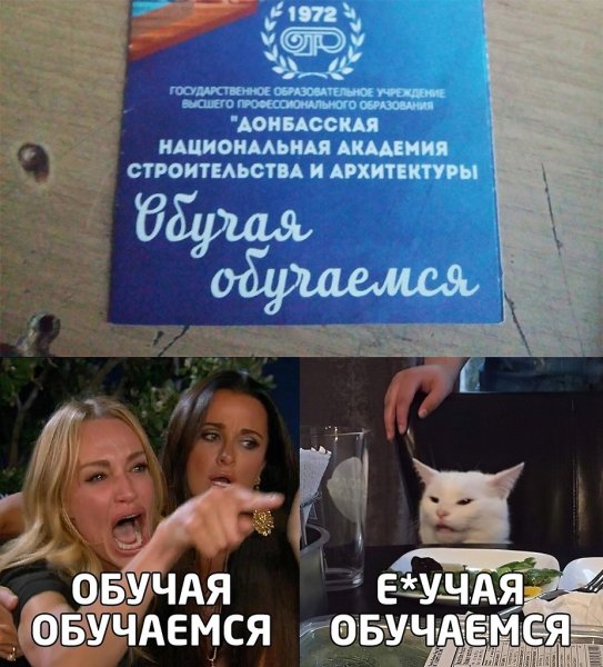 Мем девушка орет на кота