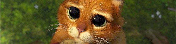 Кот в сапогах Шрек глаза