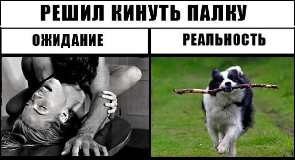 Кинуть палочку