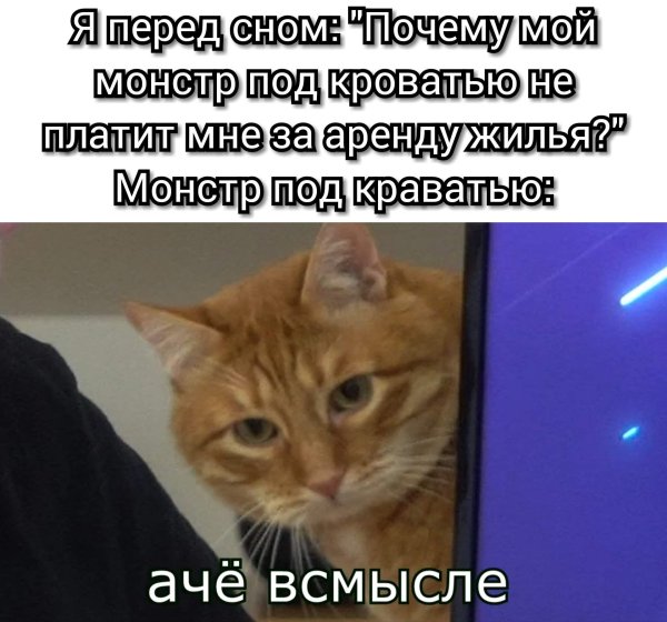 А че всмысле Мем кот