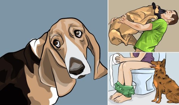 Нарисованная собака Мем