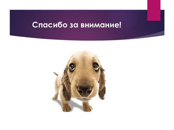 Спасибо за внимание